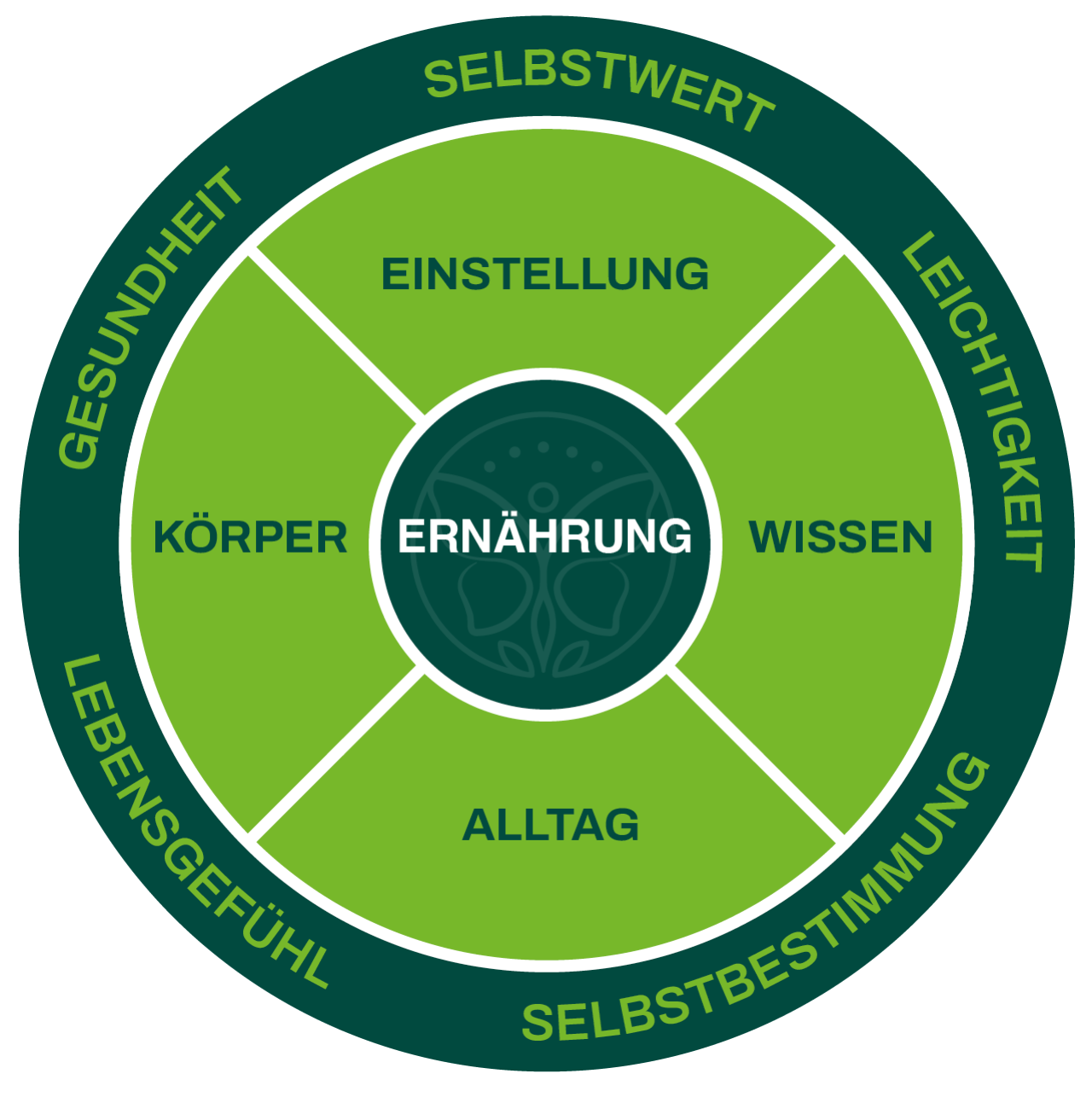 Grafik eines Gesundheitsmodells mit dem zentralen Begriff Ernährung und vier angrenzenden Bereichen.